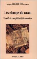 Les champs du cacao