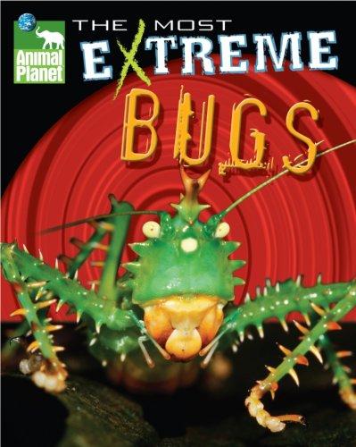 Animal Planet The Most Extreme Bugs (Animal Planet Extreme Animals)