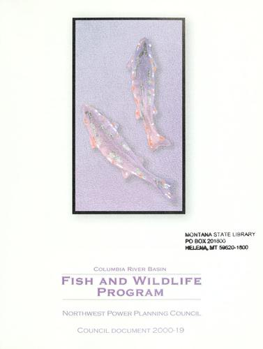 Columbia River basin fish and wildlife program