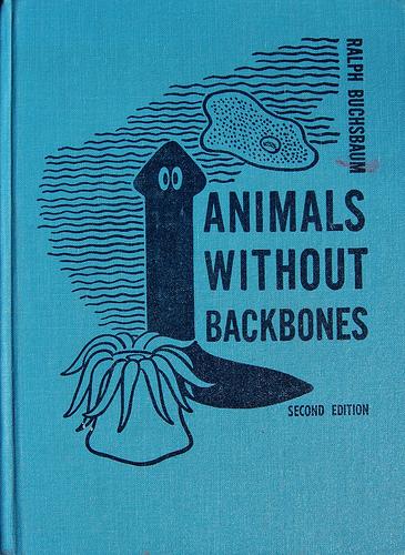 Animals without backbones by Ralph Morris Buchsbaum cover