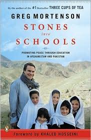 Stones into schools