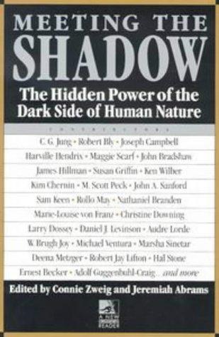 Meeting the shadow