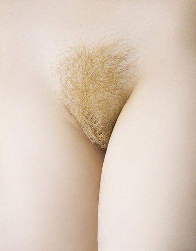 Twenty-five nudes