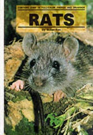 Rats (Small Animals) by Susan Fox cover