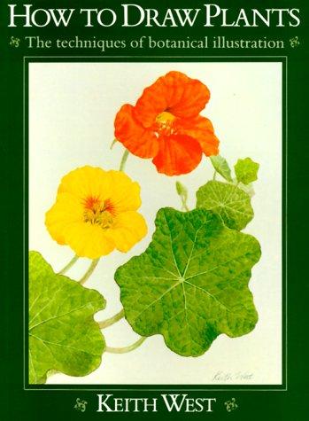 How to draw plants