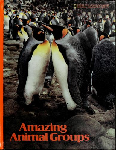 Amazing animal groups by Suzanne Venino cover