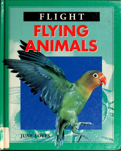 Flying animals by June Loves cover