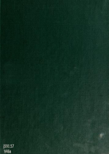 Animals and men in armor by Genevieve Shimer cover