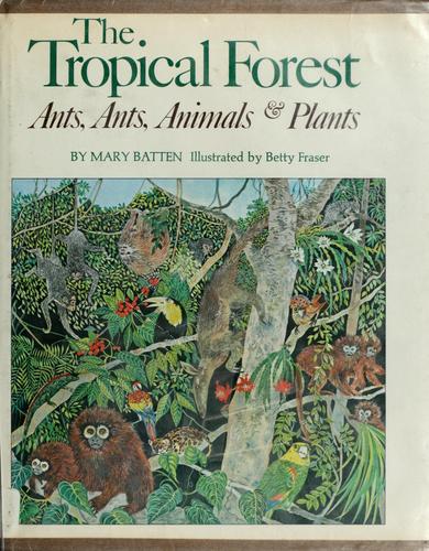 The tropical forest: ants, ants, animals, & plants