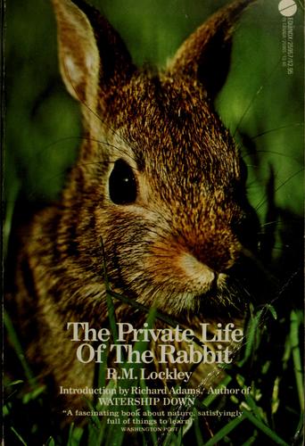 The private life of the rabbit by R. M. Lockley cover