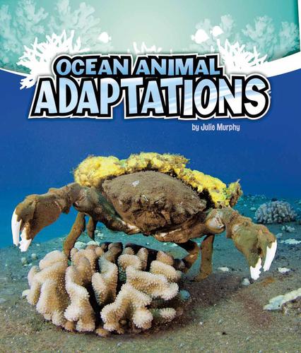 Ocean animal adaptations by Julie Murphy cover