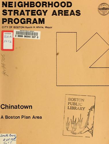 Neighborhood strategy areas program: chinatown