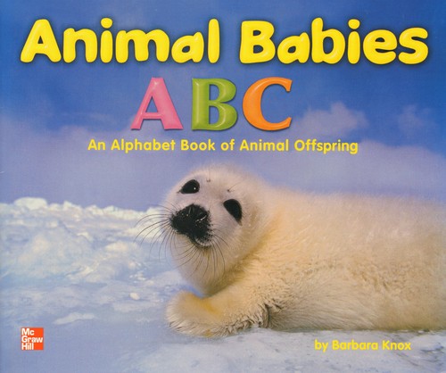 Animal Babies ABC [big book]