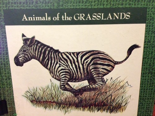 Animals of the Grasslands