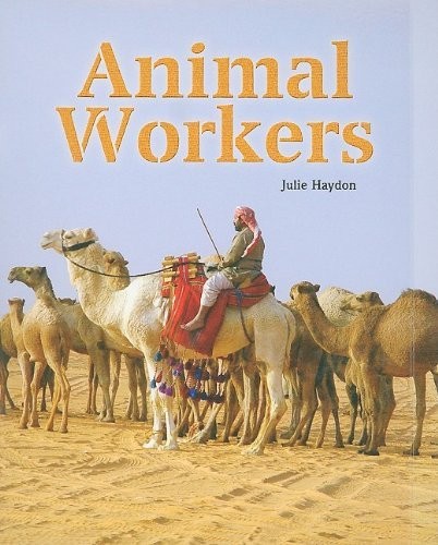 Animal Workers by Julie Haydon cover