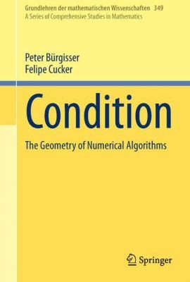 Condition The Geometry Of Numerical Algorithms