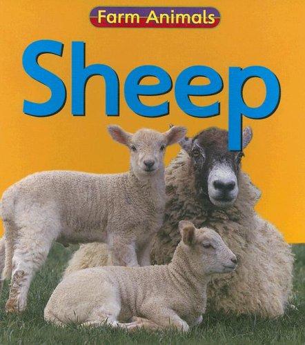 Sheep (Farm Animals) by Rachael Bell cover