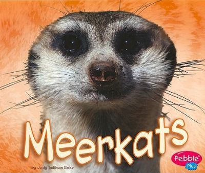 Meerkats
            
                African Animals by Gail Saunders-Smith cover