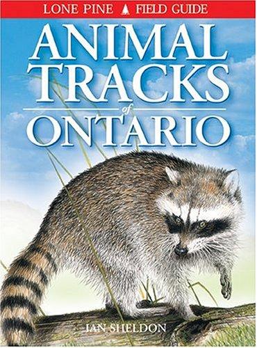 Animal Tracks of Ontario (Animal Tracks Guides) by Ian Sheldon cover