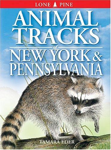 Animal Tracks of New York & Pennsylvania (Animal Tracks Guides) by Tamara Eder cover