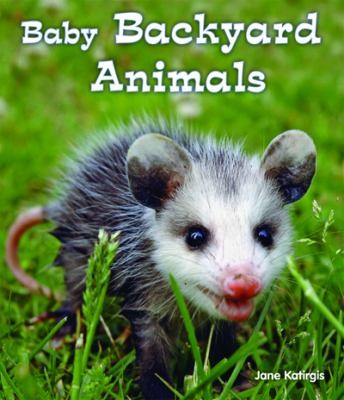 Baby Backyard Animals by Jane Katirgis cover