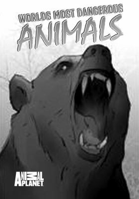 Worlds Most Dangerous Animals
            
                Animal Planet by Joe Brusha cover