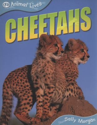 Cheetahs
            
                Animal Lives