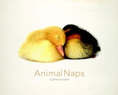 Animal Naps by Catherine Ham cover