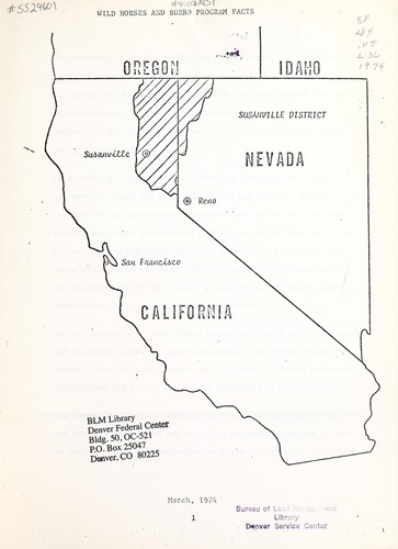 Wild horses and burros program