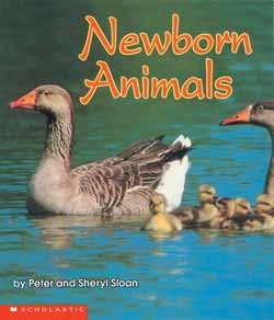 Newborn Animals by  cover