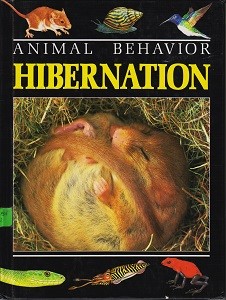 Hibernation by John Stidworthy cover