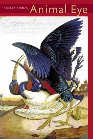 Animal Eye by Paisley Rekdal cover