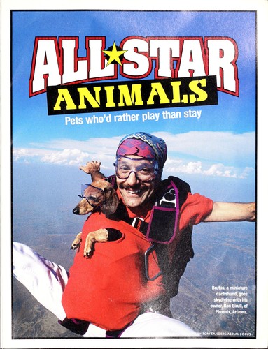 All star animals by Andrea N. Whittaker cover