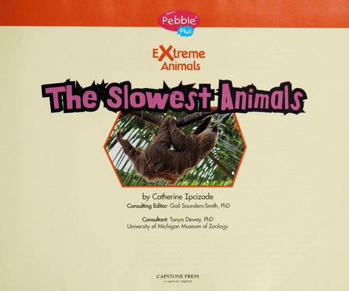 The slowest animals by Catherine Ipcizade cover
