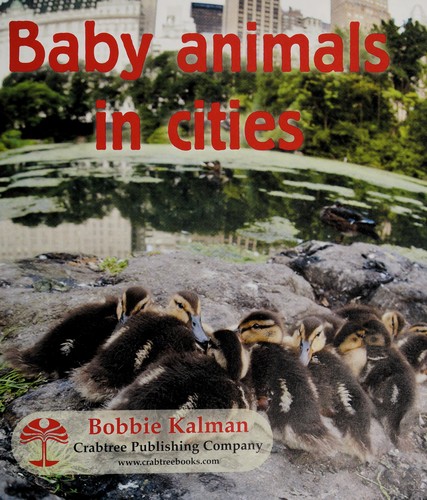 Baby animals in cities