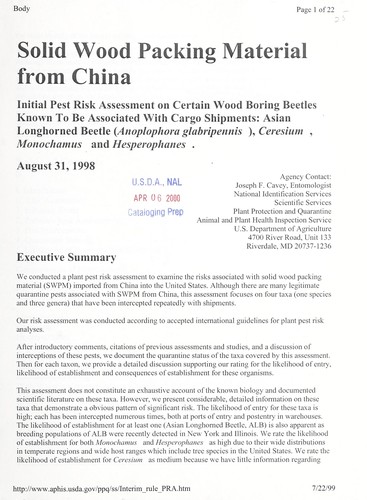 Solid wood packing material from China