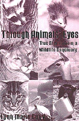 Through Animals' Eyes by Lynn Marie Cuny cover