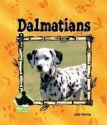 Dalmatians (Animal Kingdom)