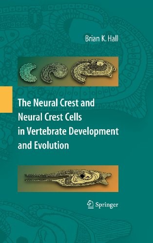 The Neural Crest and Neural Crest Cells in Vertebrate Development and Evolution (Springer series in solid-state sciences)