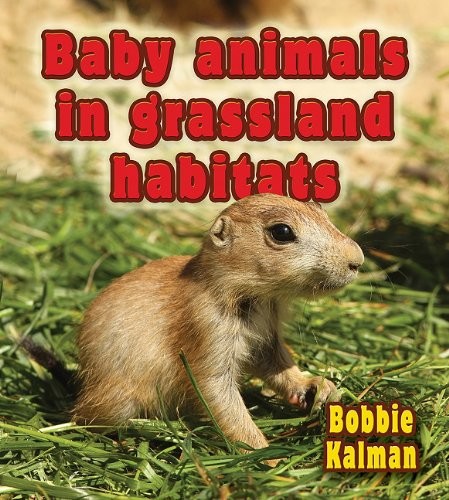 Baby Animals in Grassland Habitats (Habitats of Baby Animals) by Bobbie Kalman cover