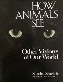 How animals see by Sandra Sinclair cover