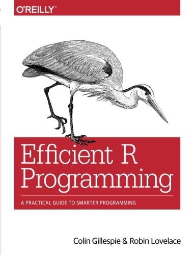 Efficient R Programming: A Practical Guide to Smarter Programming