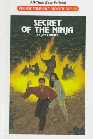 Choose Your Own Adventure - The Secret of the Ninja