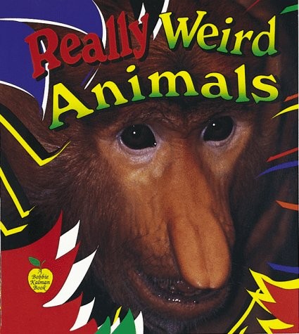 Really weird animals by Tammy Everts cover