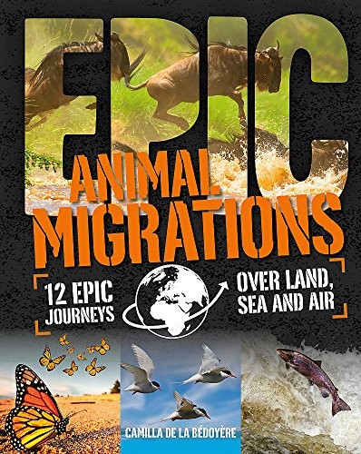Epic!: Animal Migrations by Camilla De la Bédoyère cover
