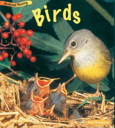 Birds (Animal Young) (Animal Young) by Rod Theodorou cover