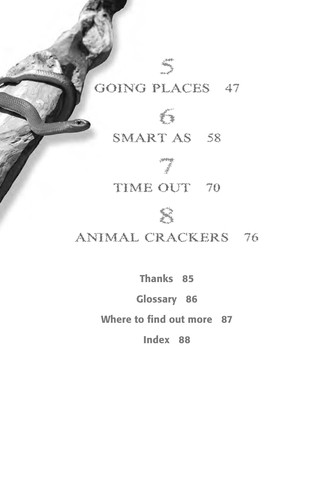 Animals are electrifying