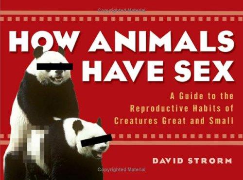 How animals have sex