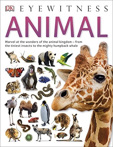 Animal (Eyewitness) by DK Eyewitness cover
