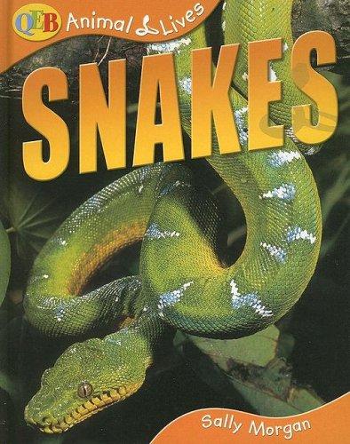 Snakes (Animal Lives) by Sally Morgan cover